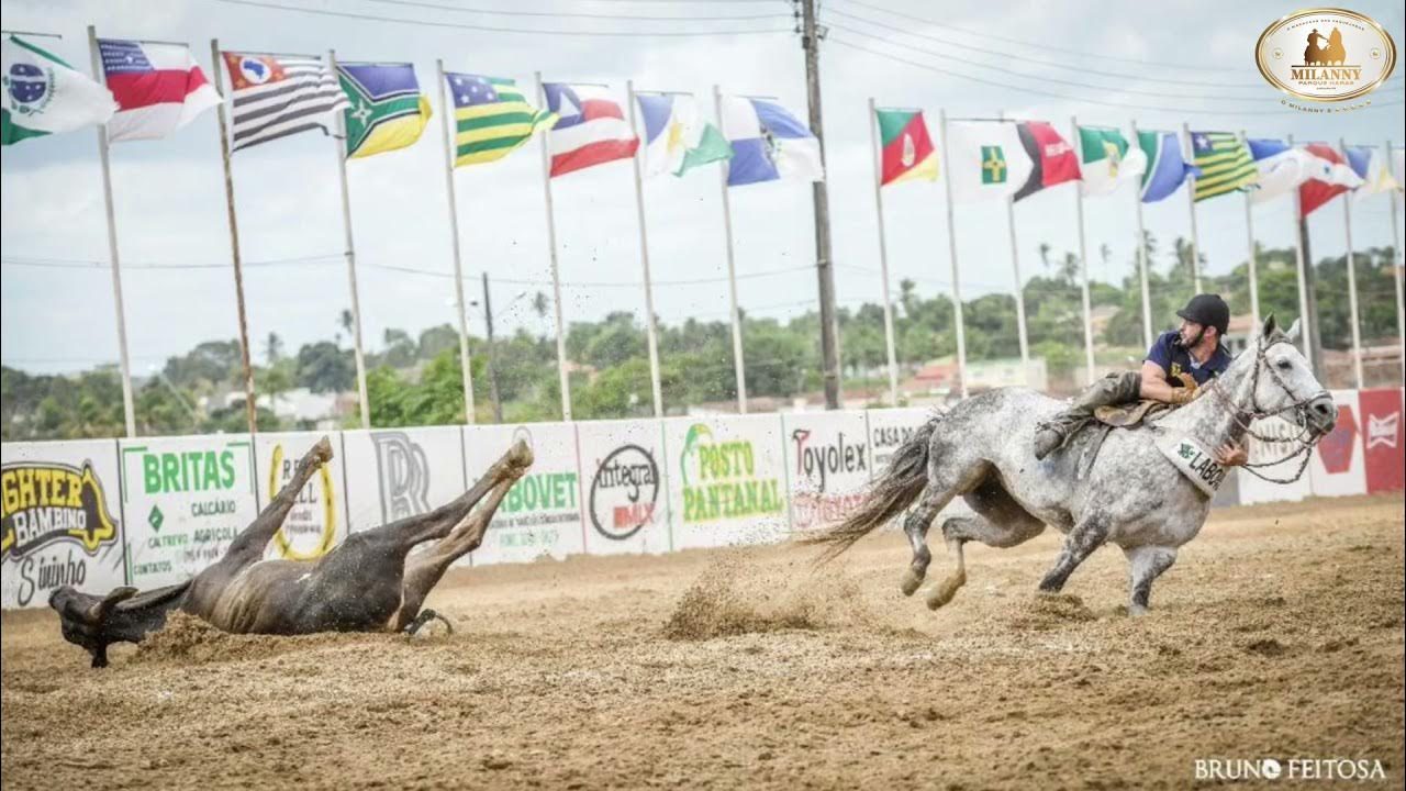As 4 maiores vaquejadas do Brasil