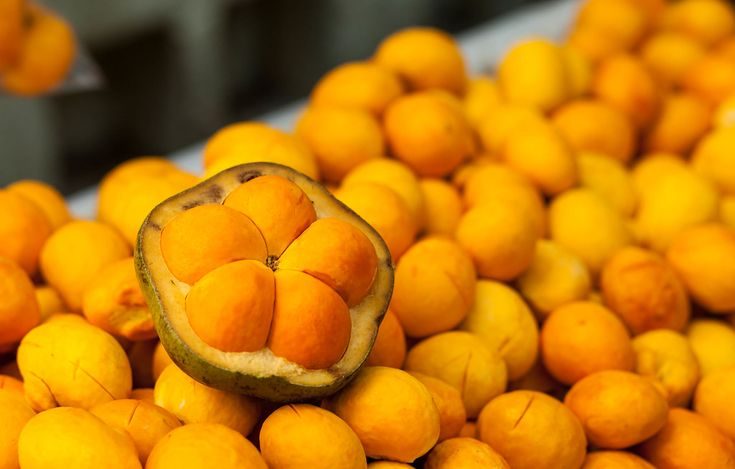 Pequi: o precioso ouro do Cerrado que você precisa conhecer