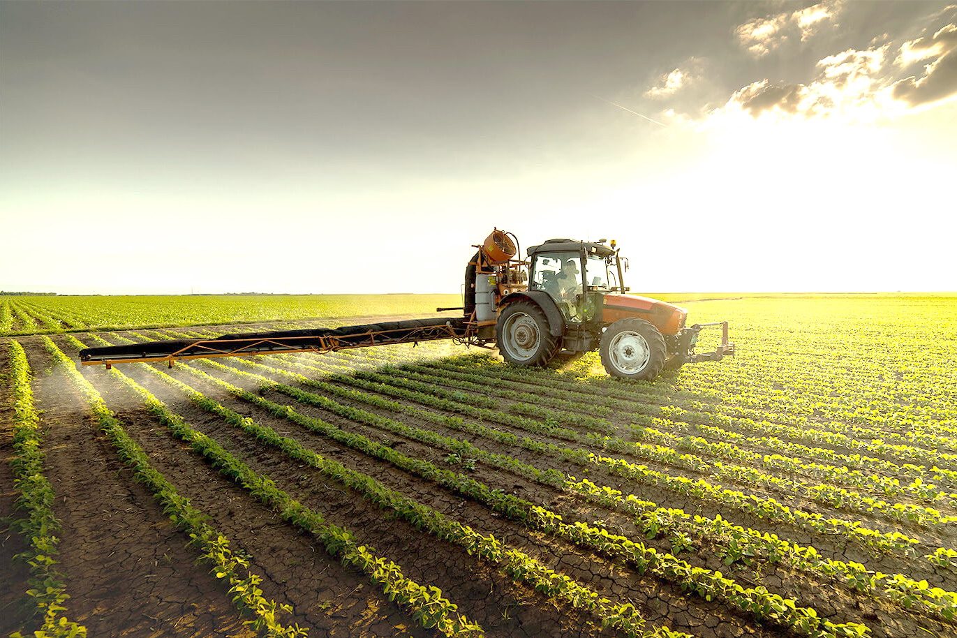 Conheça os países com maior área destinada a agropecuária agricultura