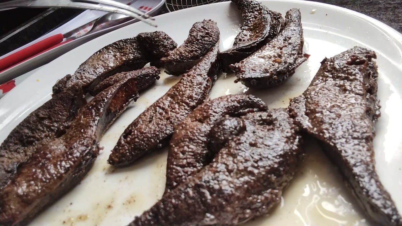 Conheça a passarinha do Boi: Uma parte do animal muitas vezes esquecida