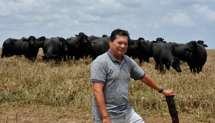 Francisco Veloso ampliará número de cabeças leiteiras em dois anos | Foto: Adriano Abreu