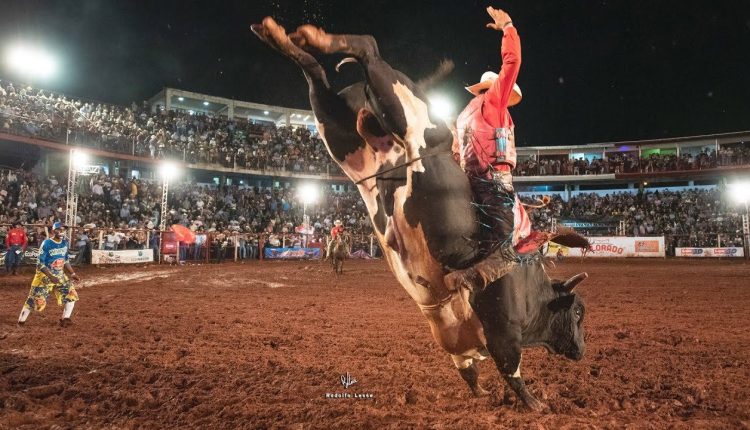 Rodeio de touros: tudo o que você precisa saber para apreciar as disputas