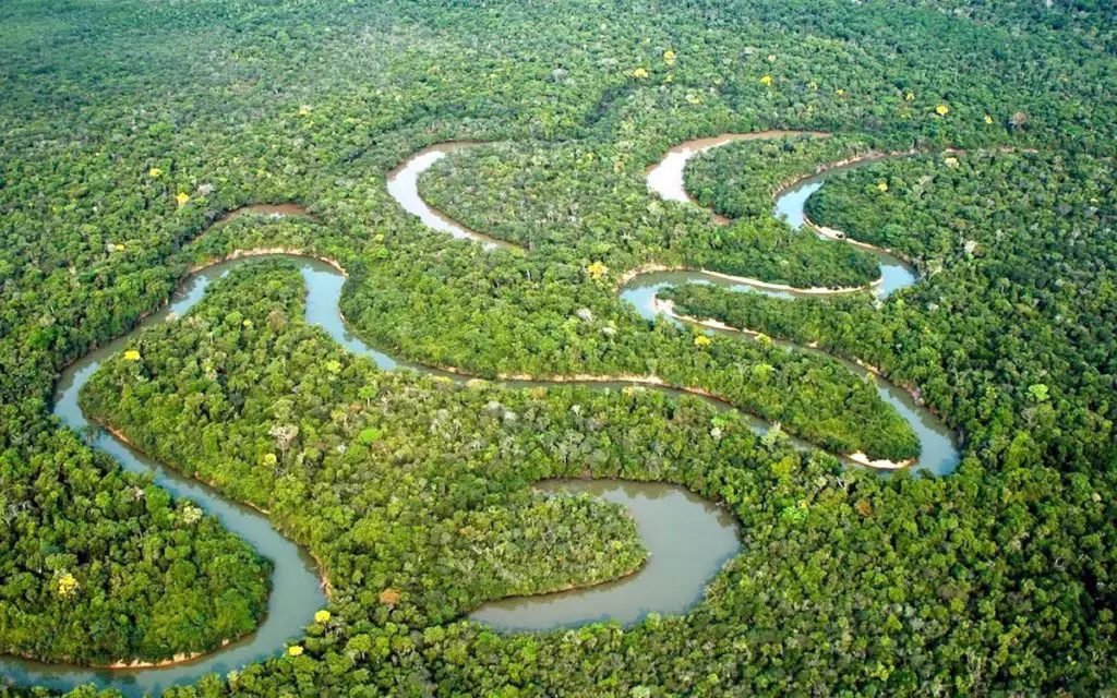 Rio Amazonas: descubra por que ele é o maior e mais importante do mundo
