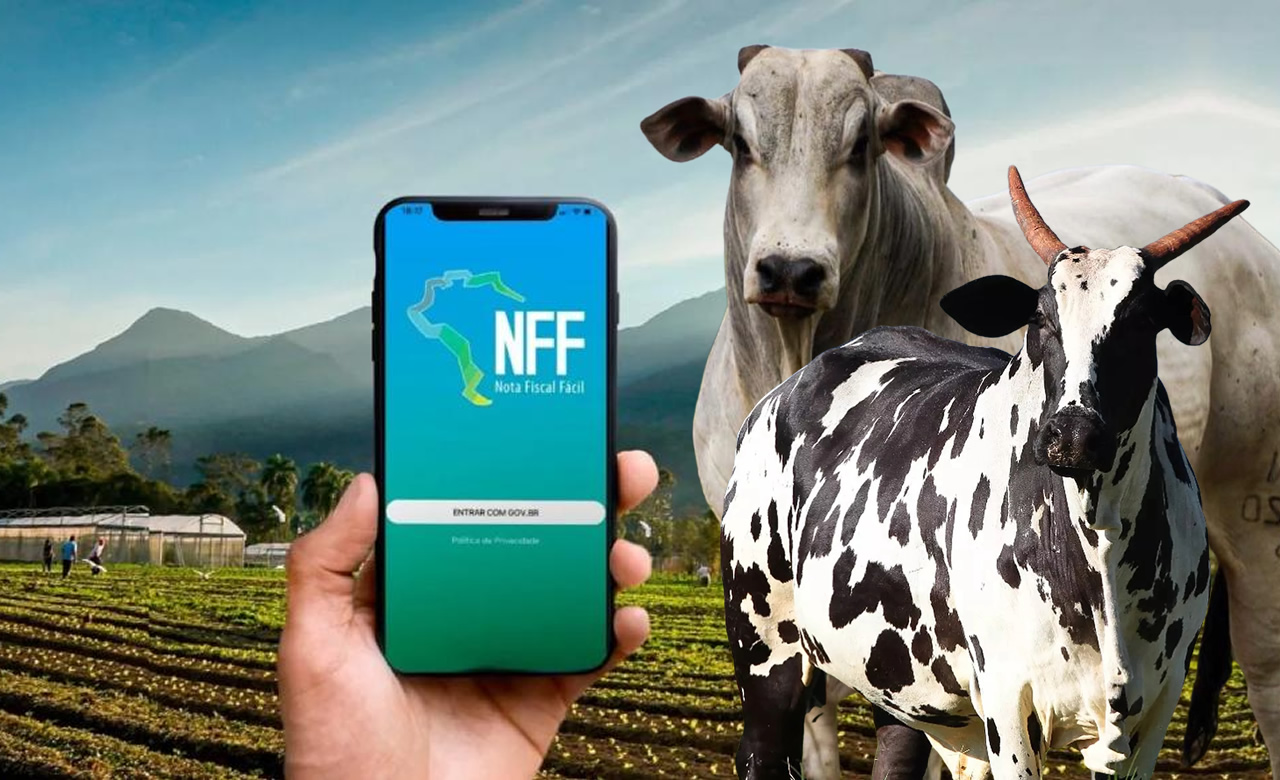 Entenda a importância da Nota Fiscal Eletrônica e do Código de Benefício Fiscal 