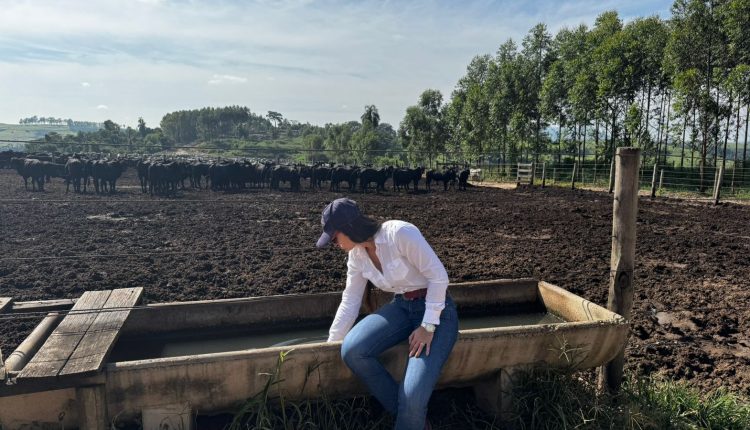 Desafios de jovens profissionais em confinamento