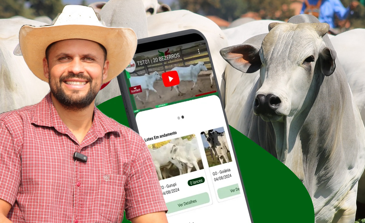 SmartBoi: App promete revolucionar a compra e venda de gado
