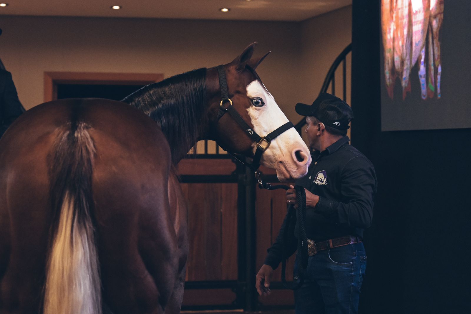 O pregão de um dos maiores e mais tradicionais leilões da raça Quarto de Milha chegou à sua 21ª edição, realizado pelo Ana Dantas Ranch. Entre os destaques do evento, estiveram o lançamento do projeto Palooza In Concert e a apresentação de Gunner Roxo AD.