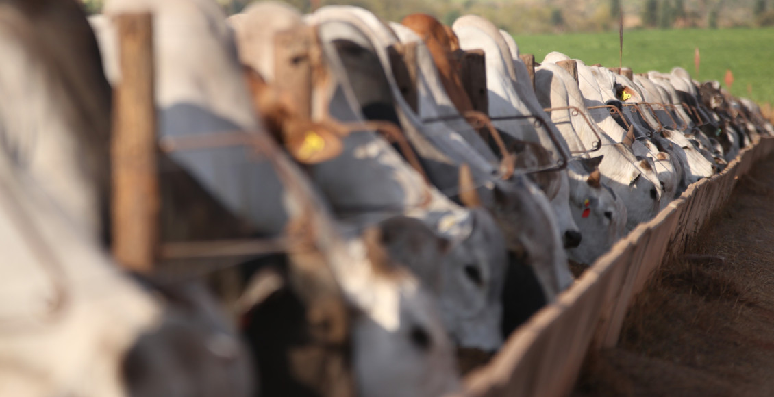 A grande missão de produzir mais