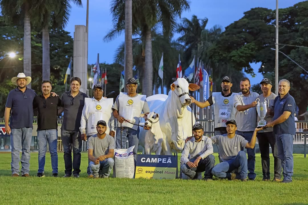 Carina FIV do Kado, vaca de R$ 24 milhões, é Campeã Vaca Adulta da Expoinel 2025