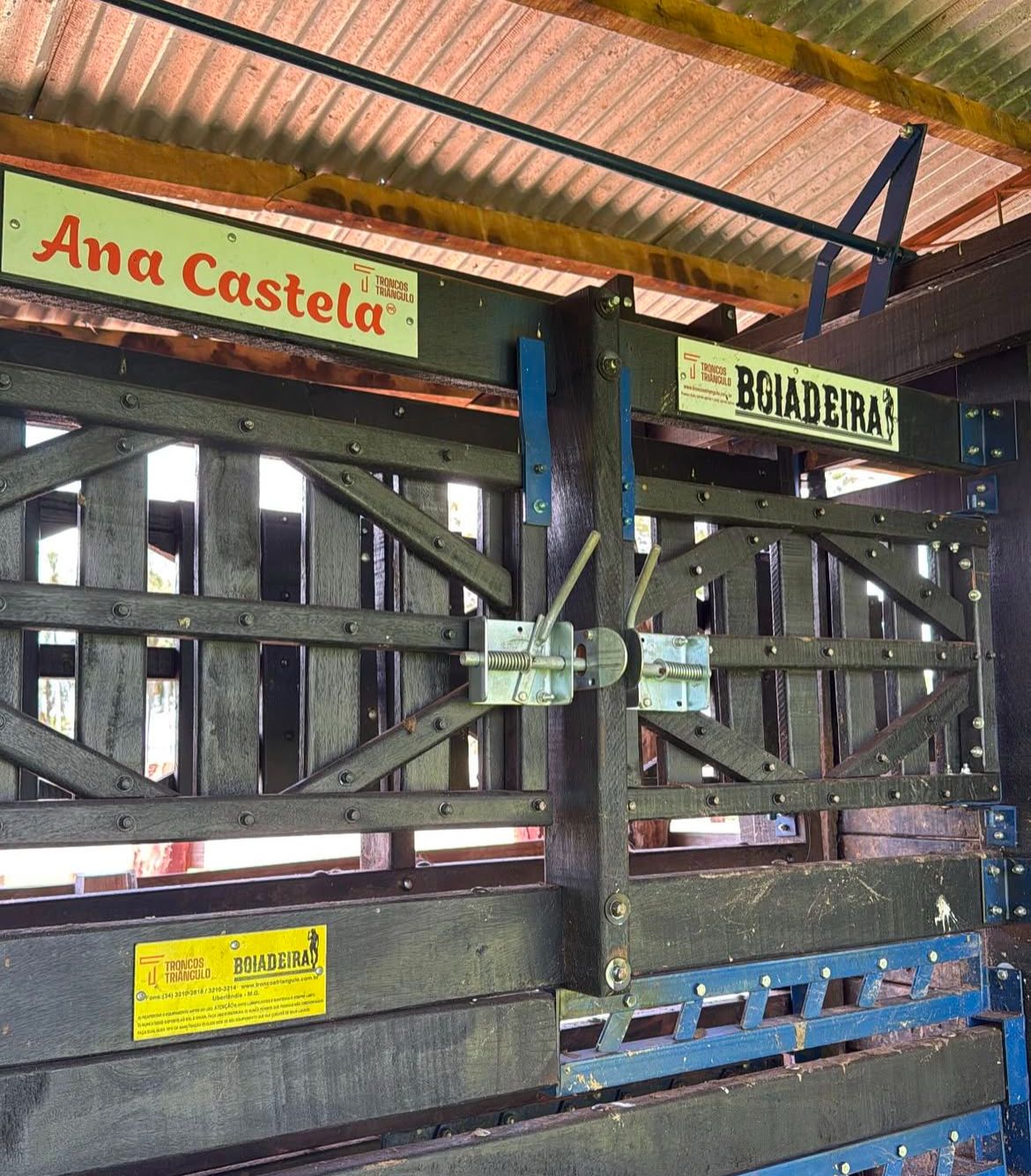 Boiadeira mais famosa , Ana Castela curte e mostra dia a dia na fazenda