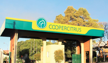 coopercitrus