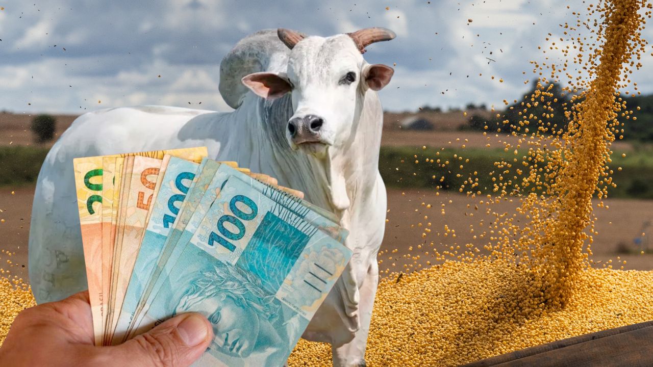 credito rural para custeio agricola ou compra de areas fazendas - comrpa de gado