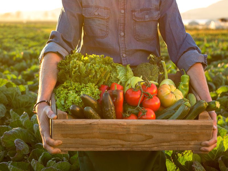 O que torna um produto verdadeiramente orgânico?