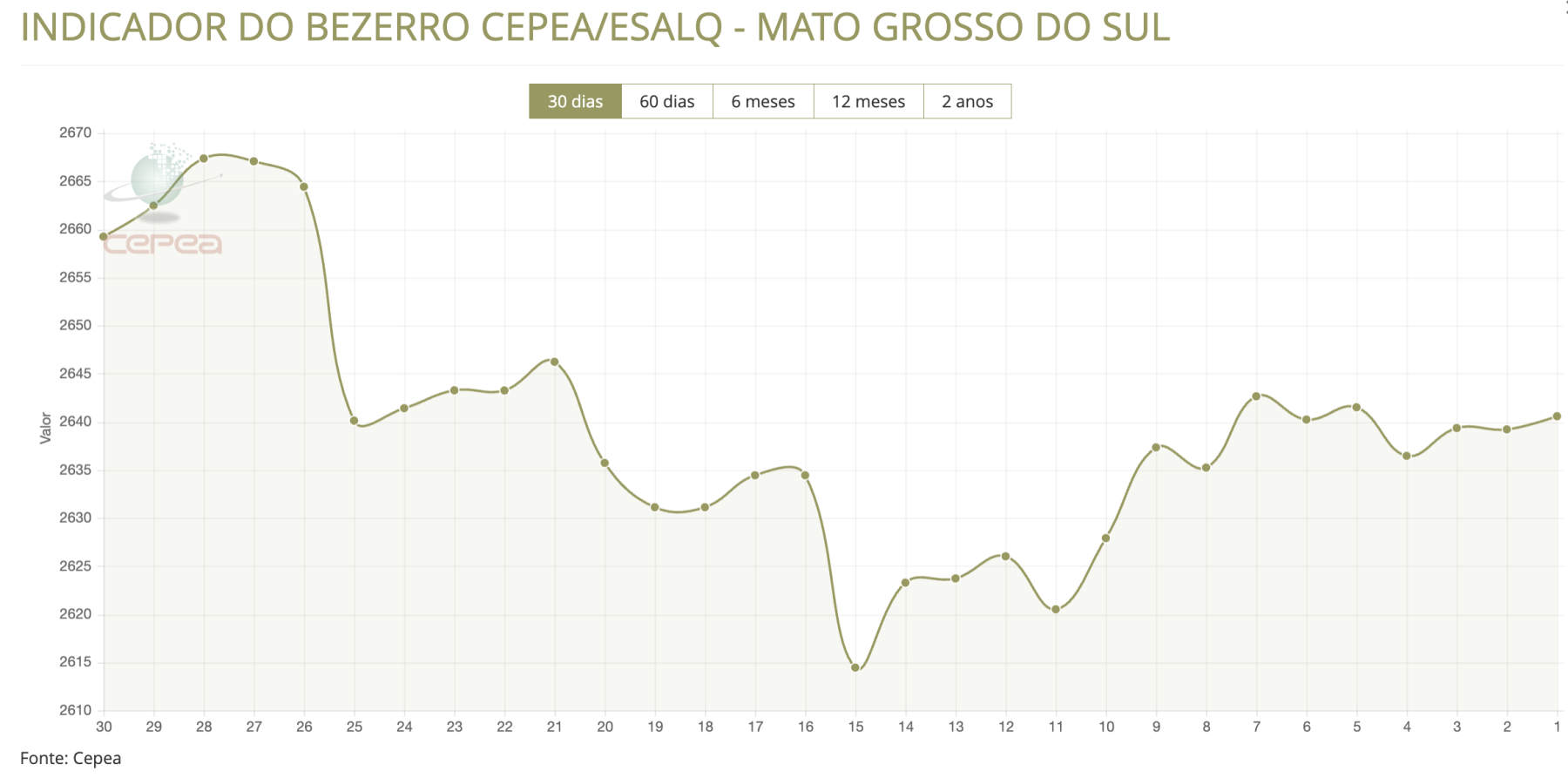 Vai comprar bezerro? Descubra quanto está valendo a "moeda do pecuarista"