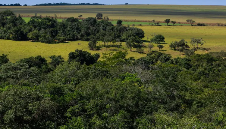 reserva ambiental - area de preservacao permanente - meio ambiente - cerrado
