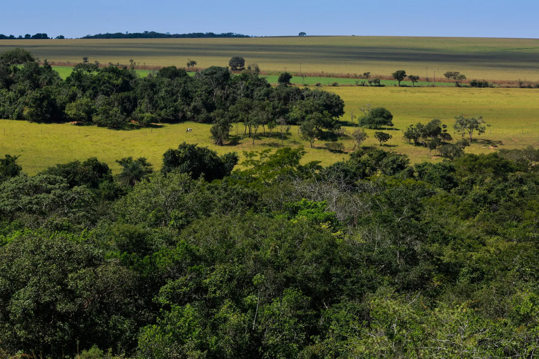 reserva ambiental - area de preservacao permanente - meio ambiente - cerrado