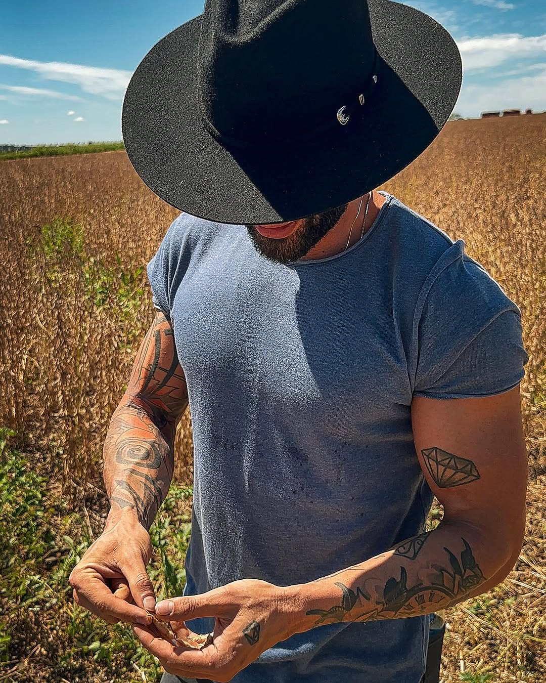 Gusttavo Lima colhe mais de 80 sacas de soja por hectare em fazenda milionária