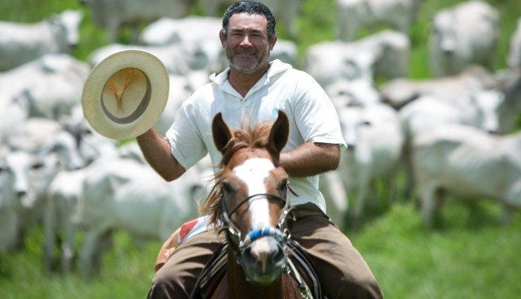 Boiadeiro - Alagoas - Cavalo - Foto Wenderson Araujo fotao