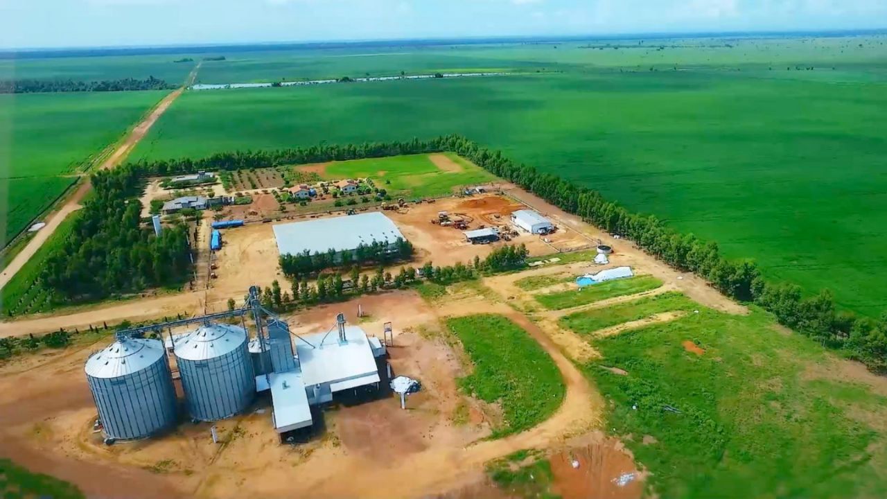 Fazenda Vera Cruz no Mato Grosso - Nelore