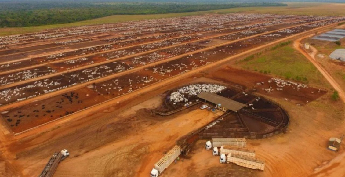 Justica defere pedido de recuperacao judicial do Grupo LFPEC