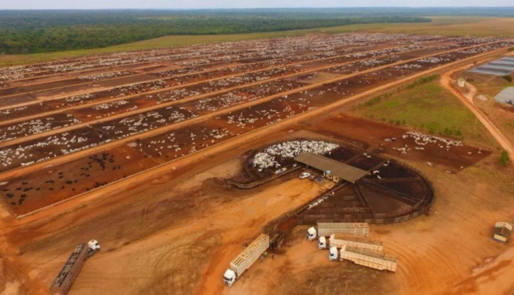 Justica defere pedido de recuperacao judicial do Grupo LFPEC