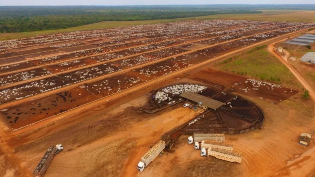 Justica defere pedido de recuperacao judicial do Grupo LFPEC