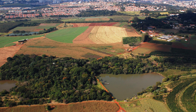 fazenda-santa-elisa-Foto-IAC Fazenda Santa Elisa - abriga maior banco de germoplasma de cafe do Brasil - Macauba