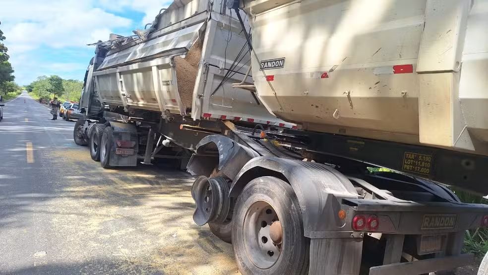 Gado invade rodovia em Bambuí, causa acidente e deixa dez animais mortos