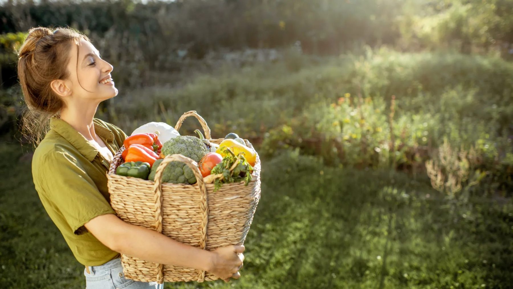 O que cultivar no outono? Descubra as frutas e hortaliças da estação
