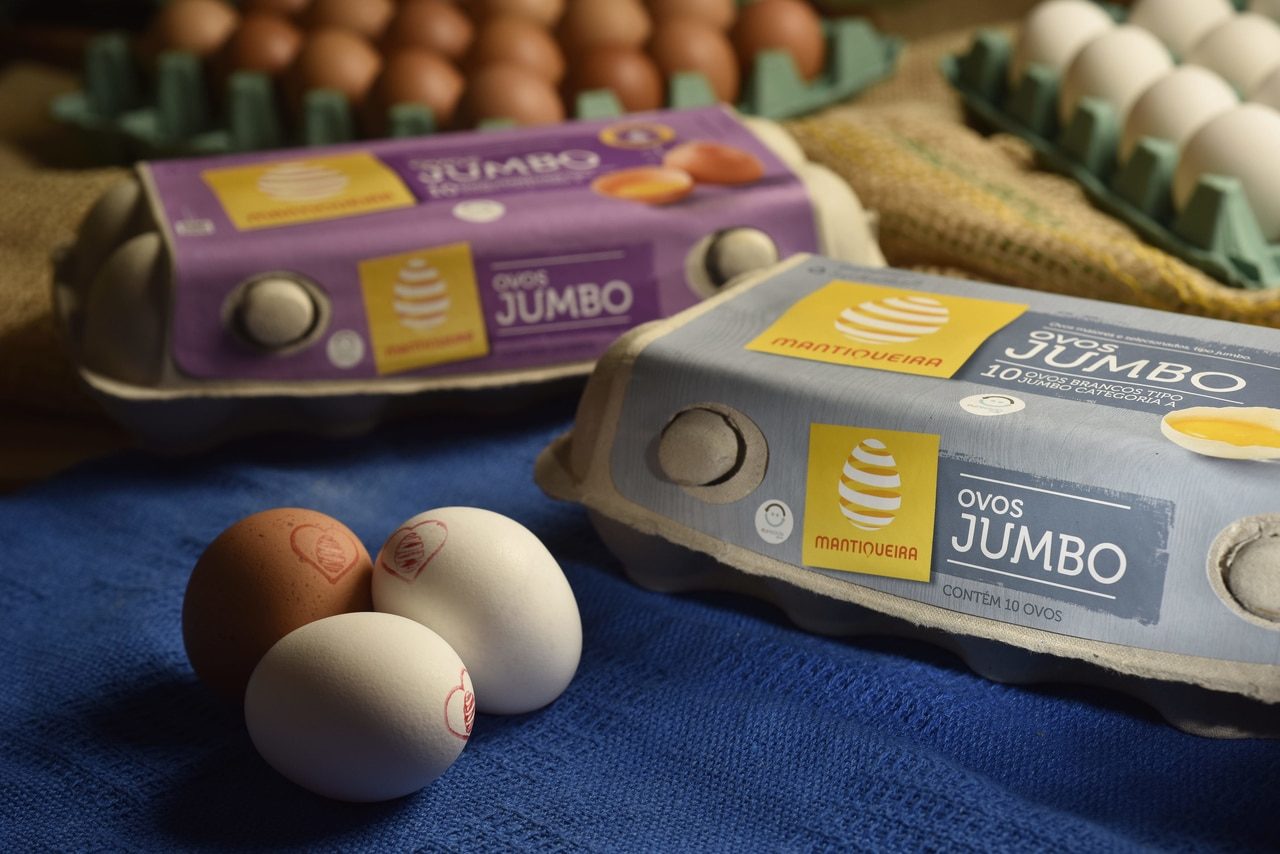 Os diferentes tipos de ovos que você nunca imaginou encontrar no mercado
