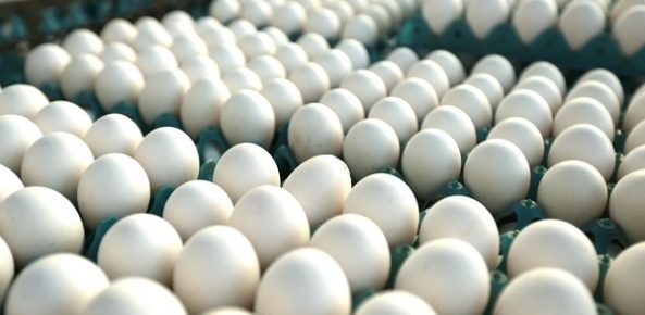 Os diferentes tipos de ovos que você nunca imaginou encontrar no mercado