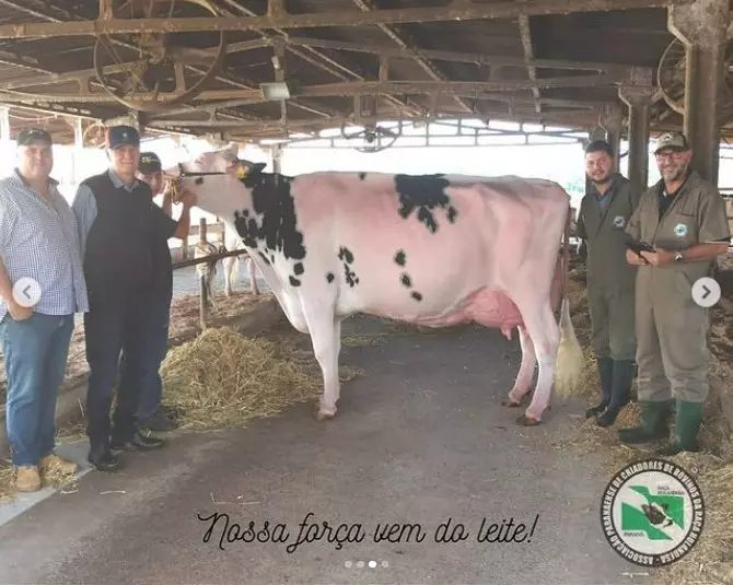 Única filha de Doorman classificada EX-97 no mundo, Halley Ruivinha Doorman 538 foi bicampeã Suprema das Raças e referência absoluta em genética, produção e morfologia; Morre Ruivinha aos 10 anos de idade