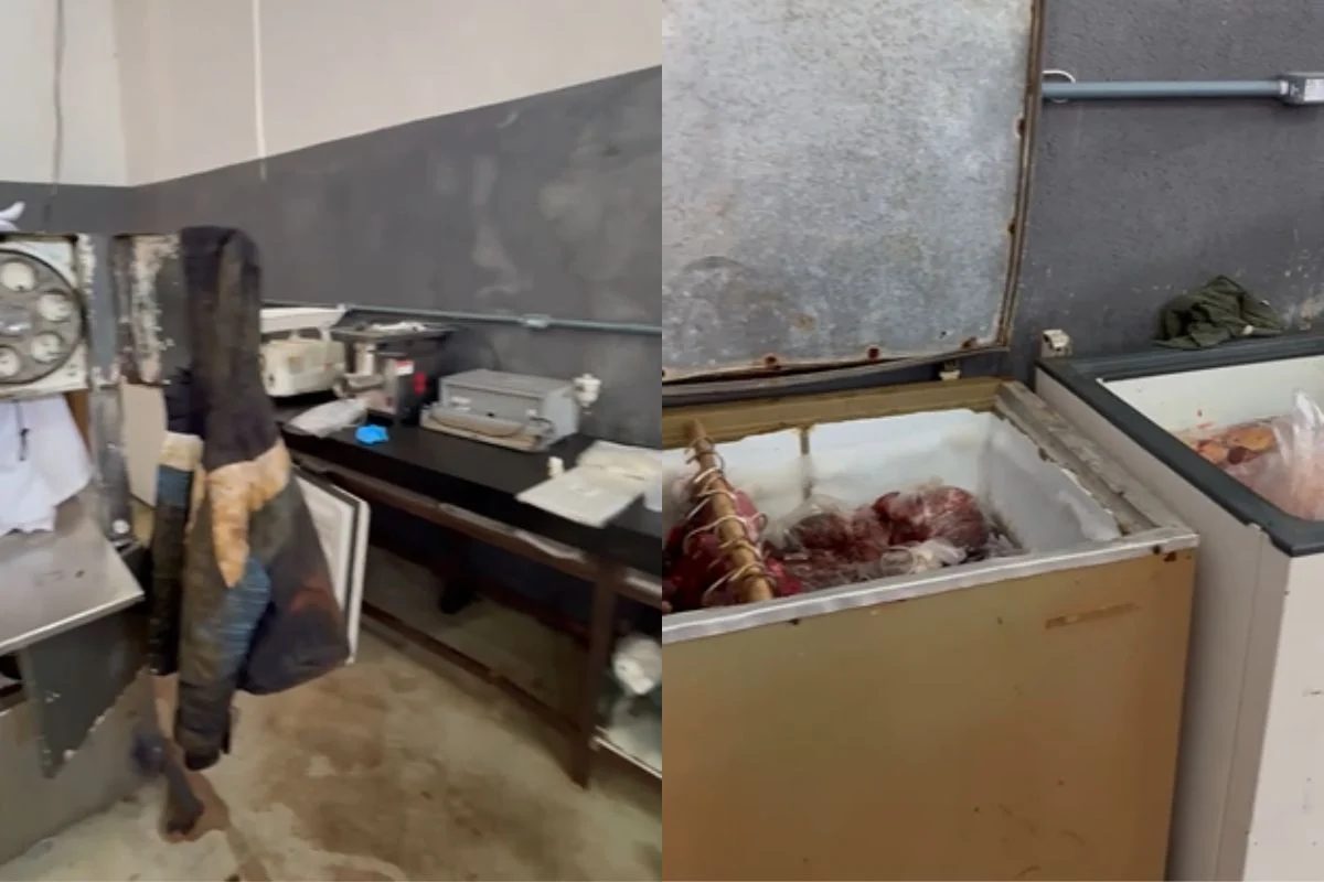 abatedouro clandestino de cavalos