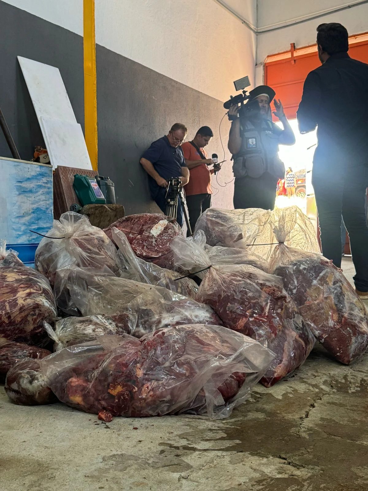 abatedouro clandestino de cavalos