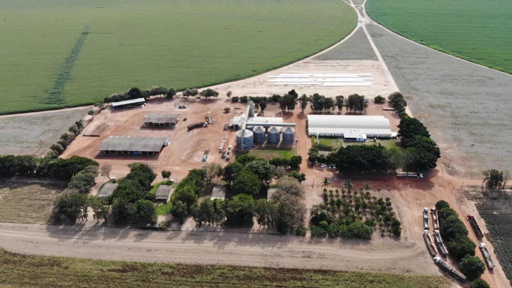Com apetite voraz, SLC Agrícola supera 800.000 hectares de área plantada; Vídeo