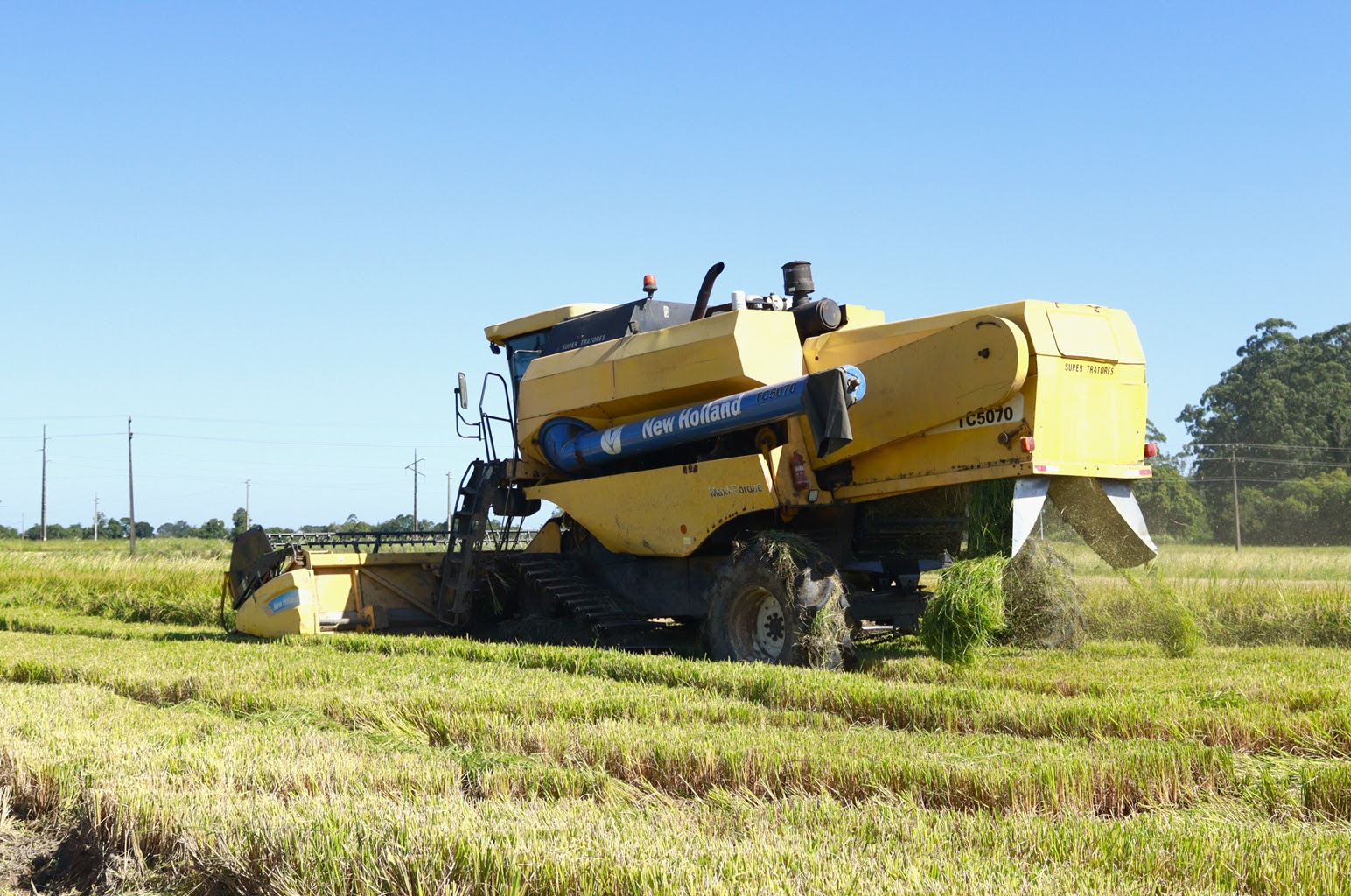 Com clima favorável na lavoura, colheita da safra de arroz está adiantada em SC