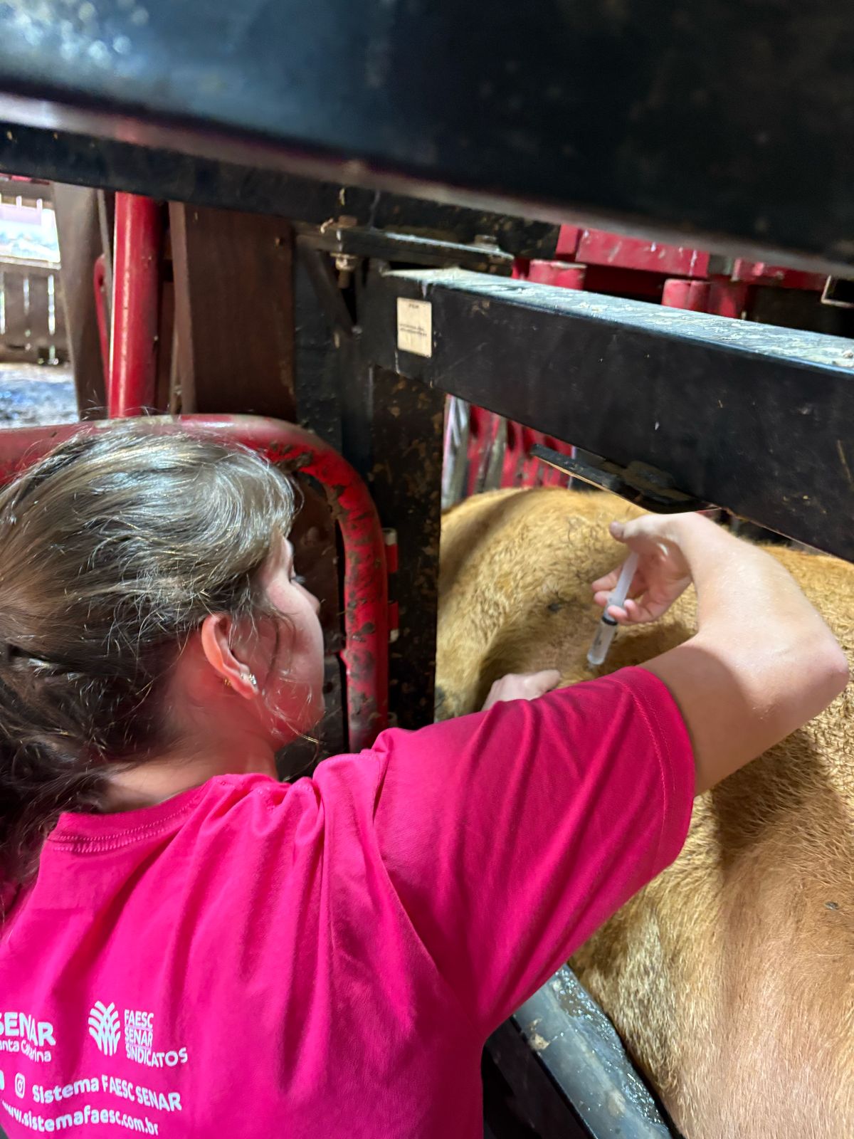 As mulheres fazem a diferença no campo