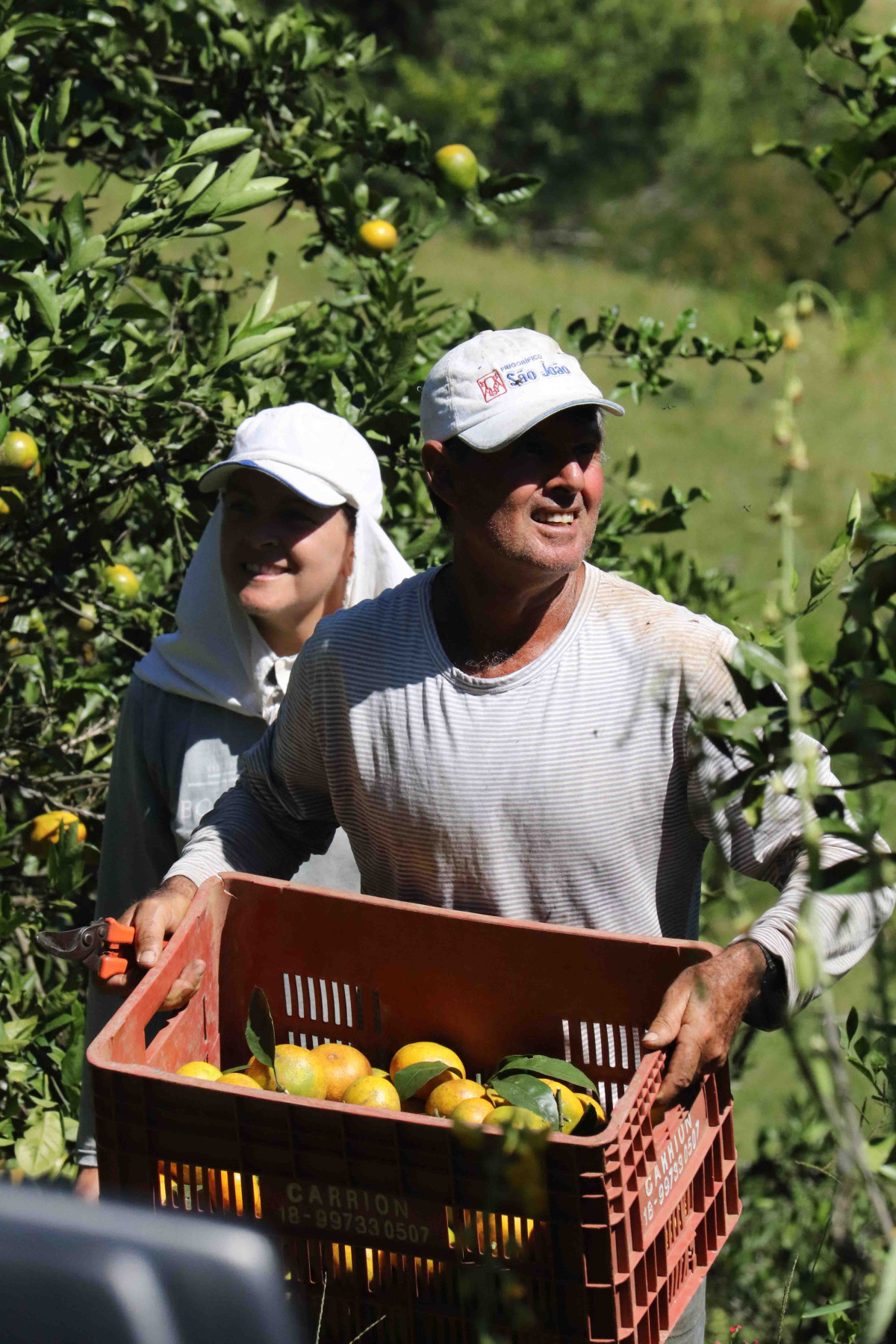 Programas do Governo do Estado impulsionam sustentabilidade e economia no campo com energia solar