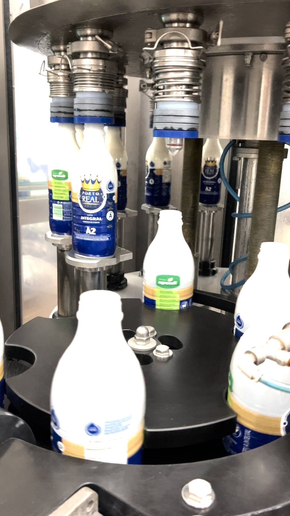 Fazenda mineira produz leite a partir de rebanho geneticamente selecionado