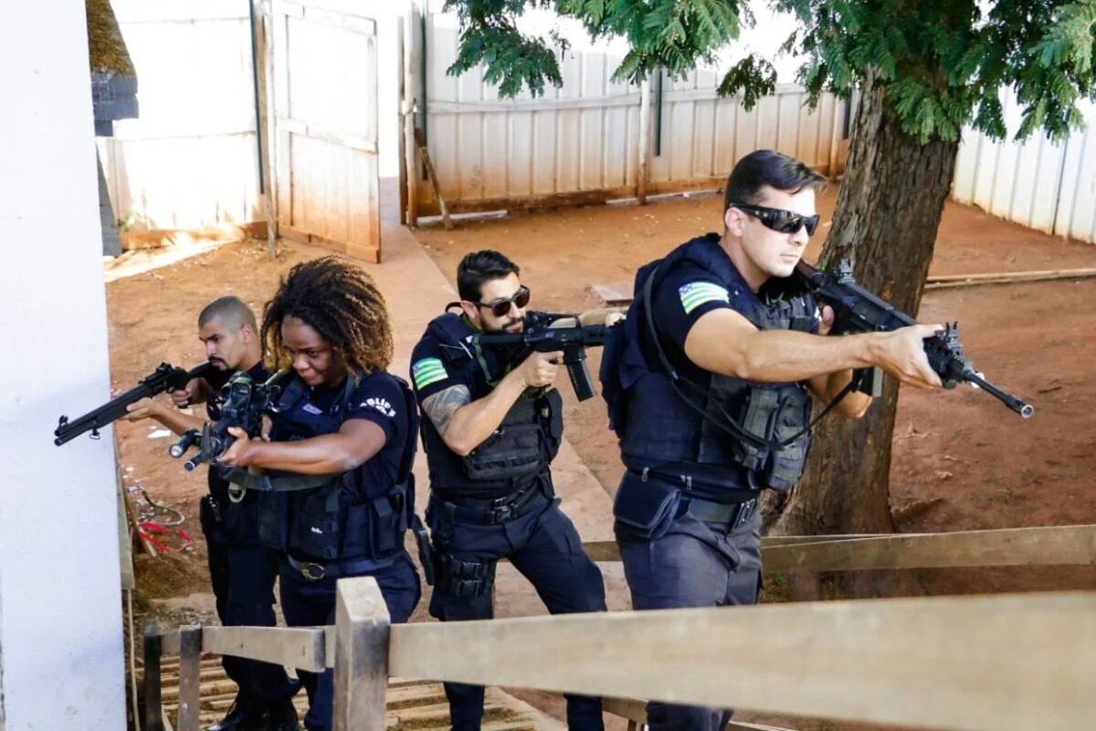 Operação apura desvio de novilhas em Aragarças; prejuízo chega a R$ 48 mil