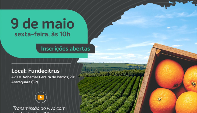 Safra da laranja 2025/26: Fundecitrus fará anúncio de estimativa no dia 9 de maio