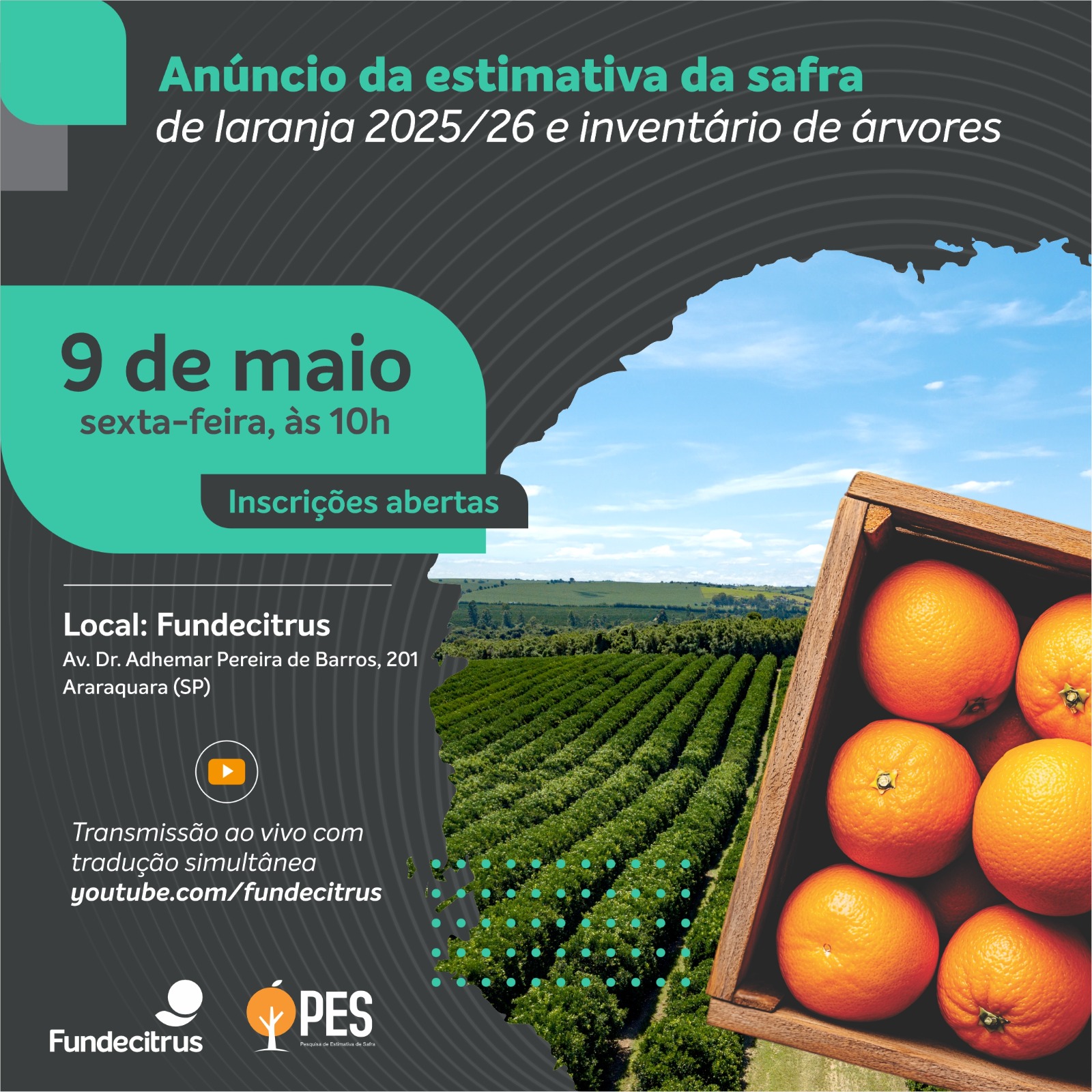 Safra da laranja 2025/26: Fundecitrus fará anúncio de estimativa no dia 9 de maio