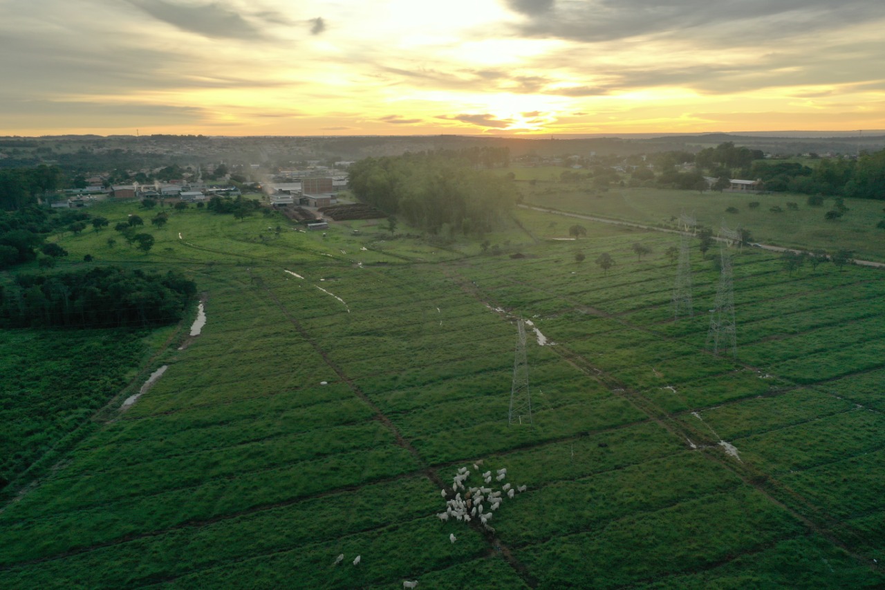 Projeto de indústria leiteira leva benefício para o solo, em Goiás