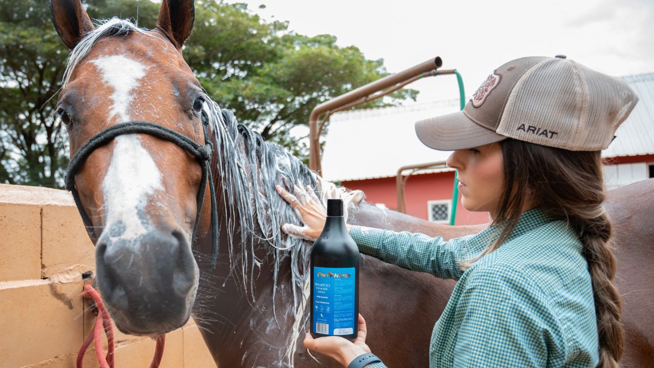 For Horse Probio - loja online shampoo para cavalo