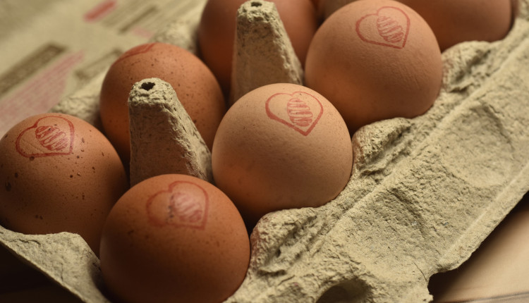 A nova geração dos ovos: como o consumidor moderno impulsionou um portfólio que vai além do tradicional