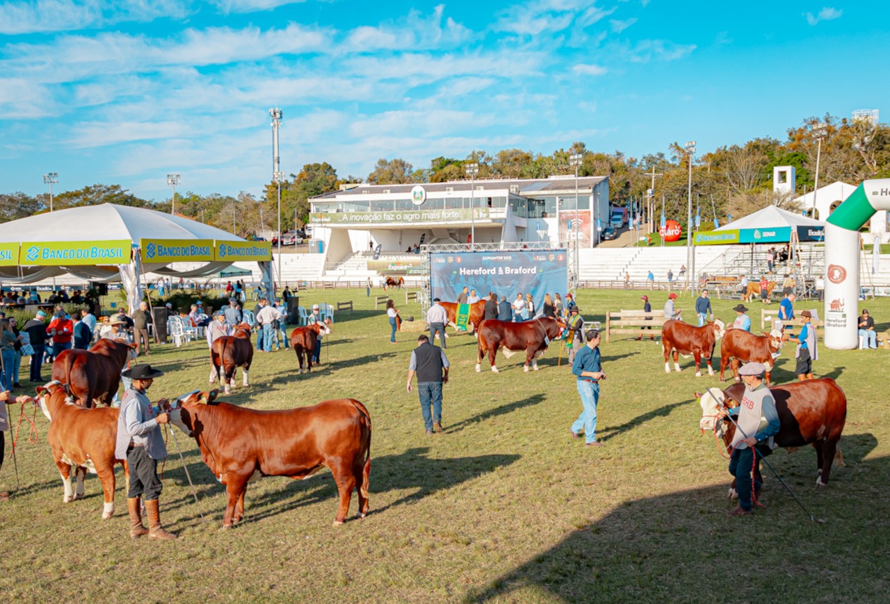 Mundial Braford tem julgamentos e palestras na etapa realizada no Parque em Esteio