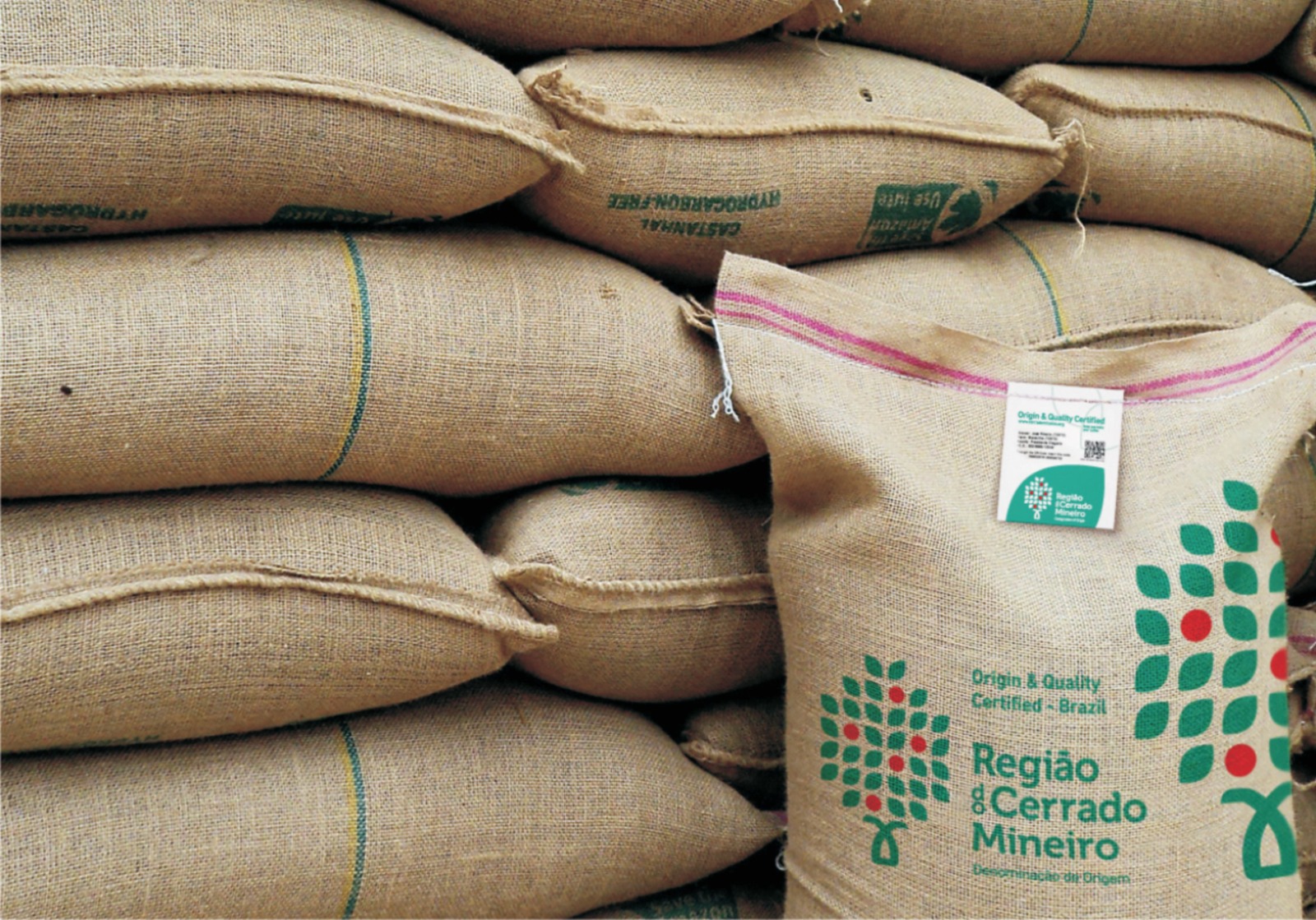 Região do Cerrado Mineiro alcança cinco milhões de selos emitidos para cafés industrializados e fortalece liderança global