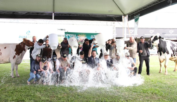 Concurso Leiteiro na Fenasul Expoleite valoriza trabalho do criador