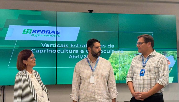 Entidades debatem estratégias para fomento da ovinocultura nacional