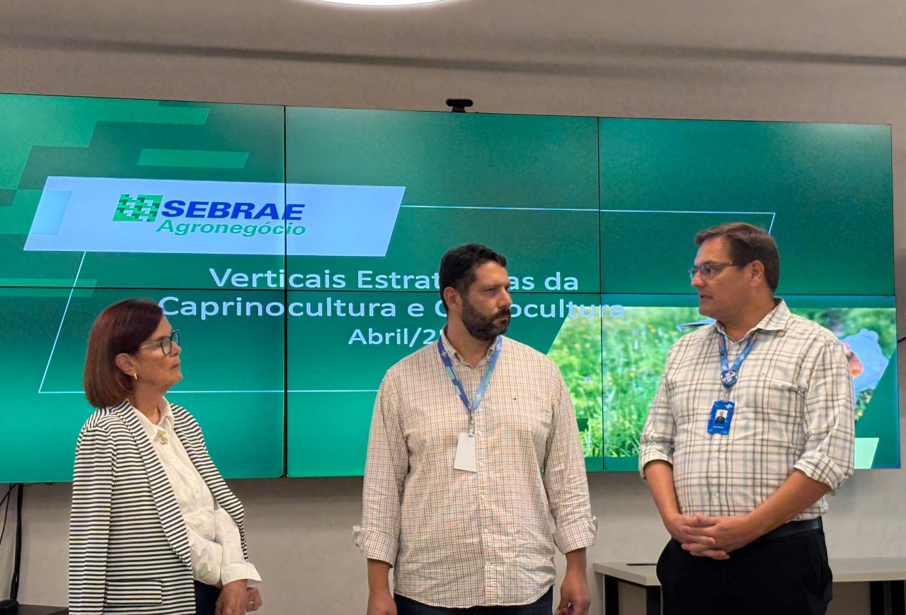 Entidades debatem estratégias para fomento da ovinocultura nacional
